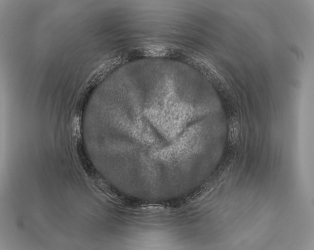 X0000112940598200909211135