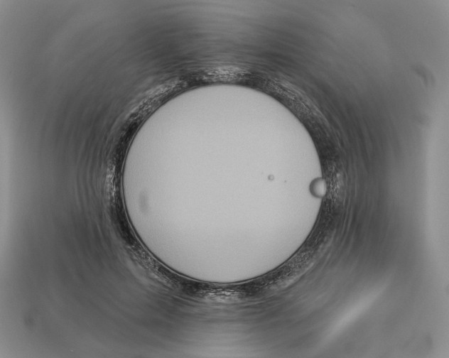 X0000112940599200909211135