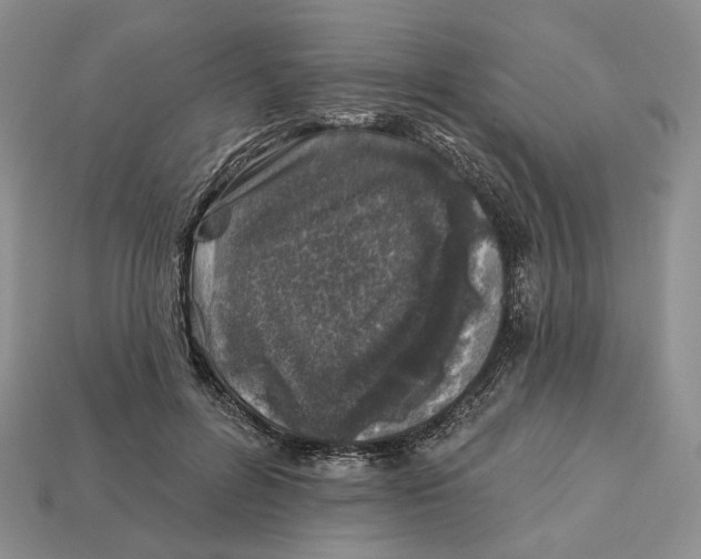 X0000112940600200909211135