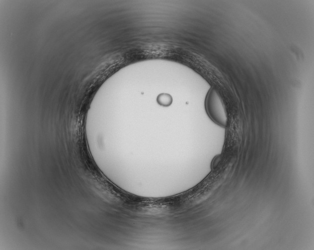 X0000112940601200909211135