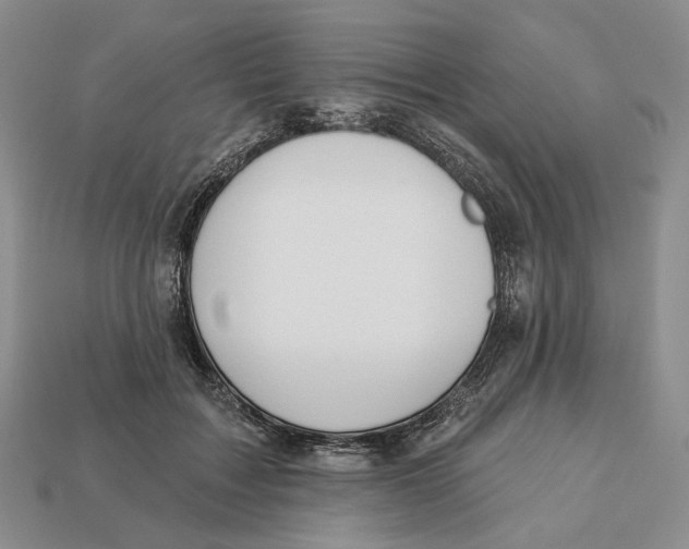 X0000112940603200909211135