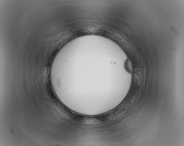 X0000112940605200909211135