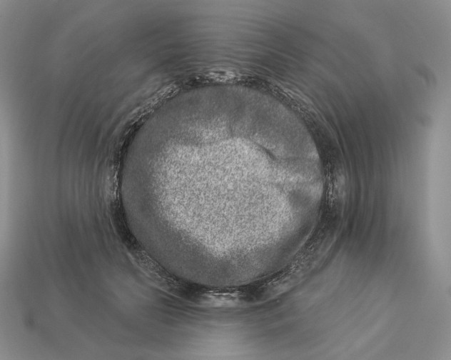 X0000112940606200909211135