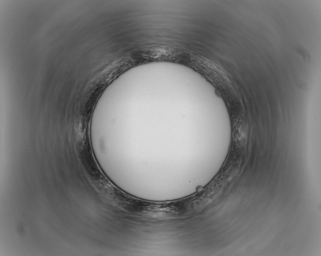 X0000112940607200909211135