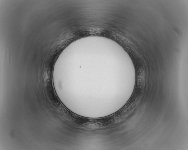 X0000112940608200909211135