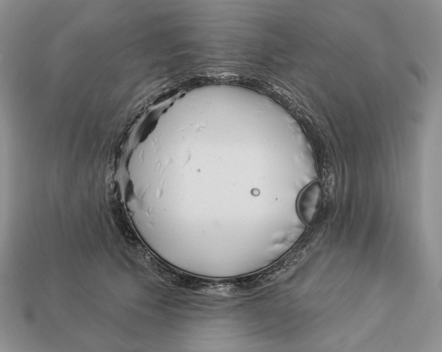 X0000112940609200909211135