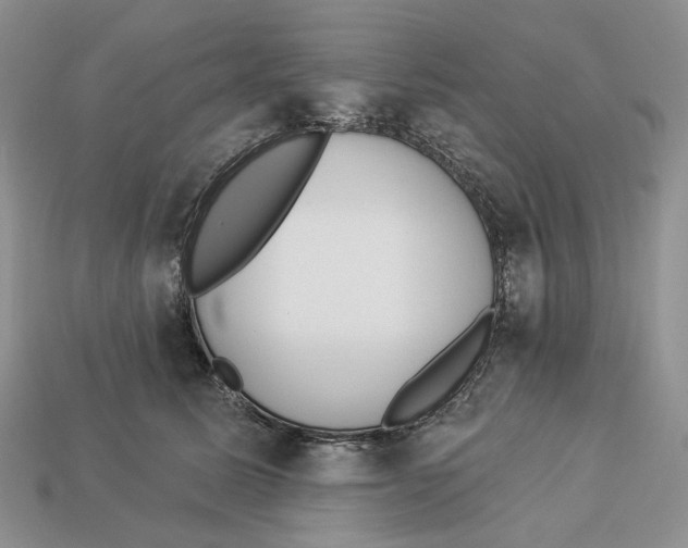 X0000112940611200909211135
