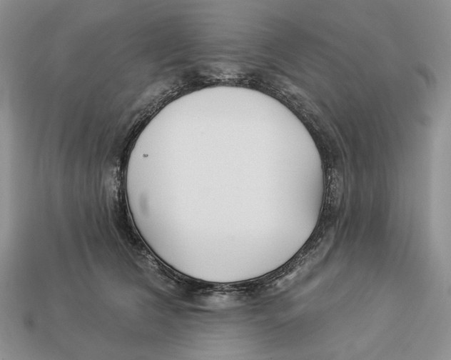 X0000112940612200909211135