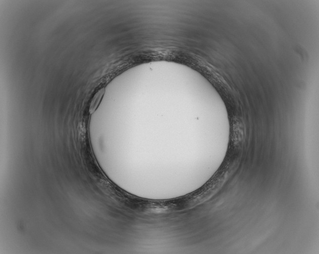 X0000112940613200909211135