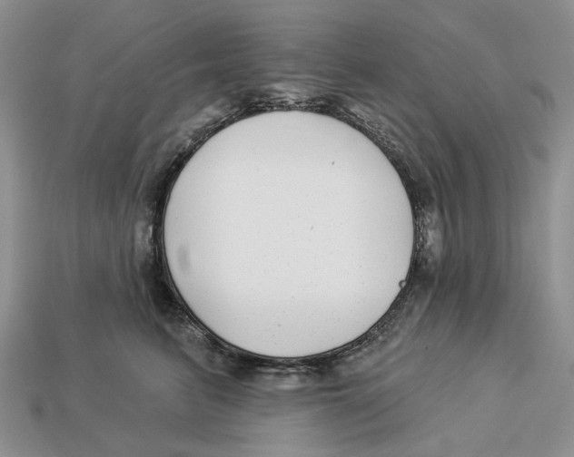 X0000112940615200909211135
