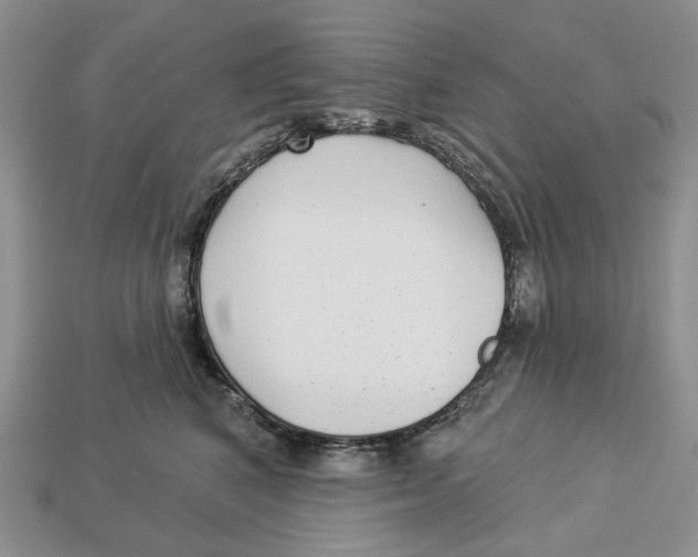 X0000112940616200909211135