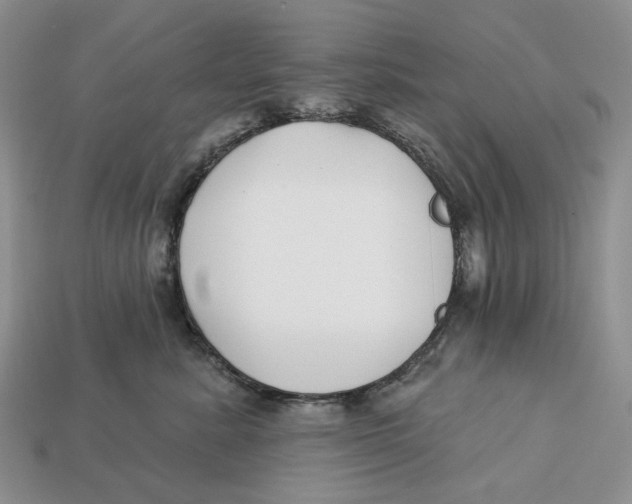 X0000112940619200909211135