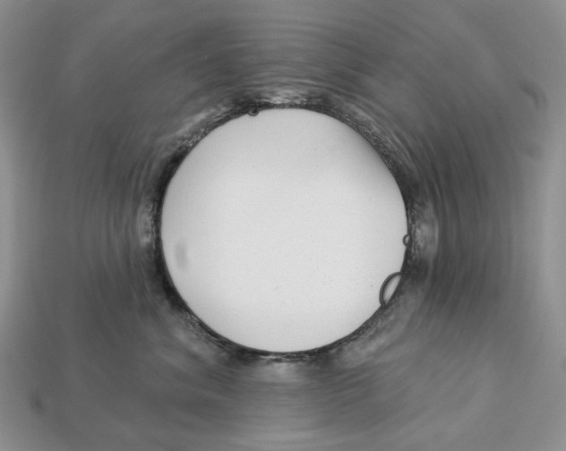 X0000112940620200909211135