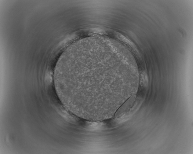 X0000112940621200909211135
