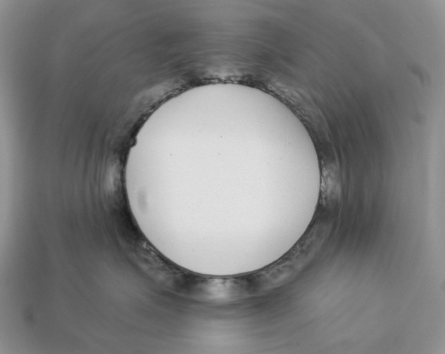 X0000112940623200909211135