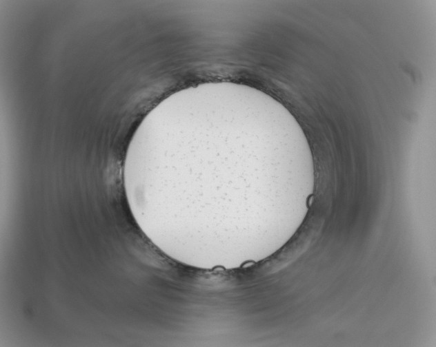 X0000112940624200909211135