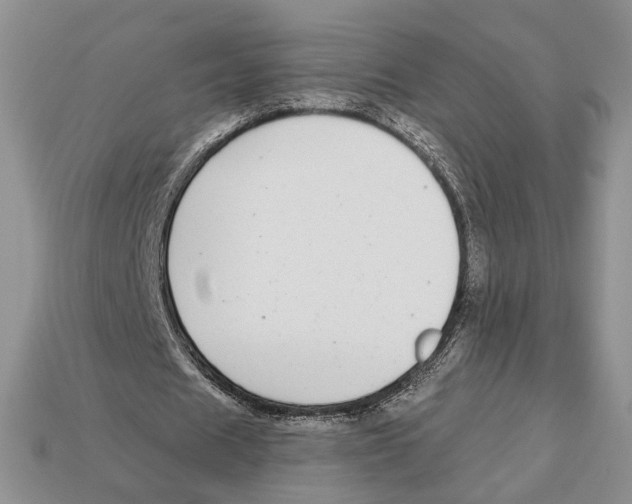 X0000112940625200909211134