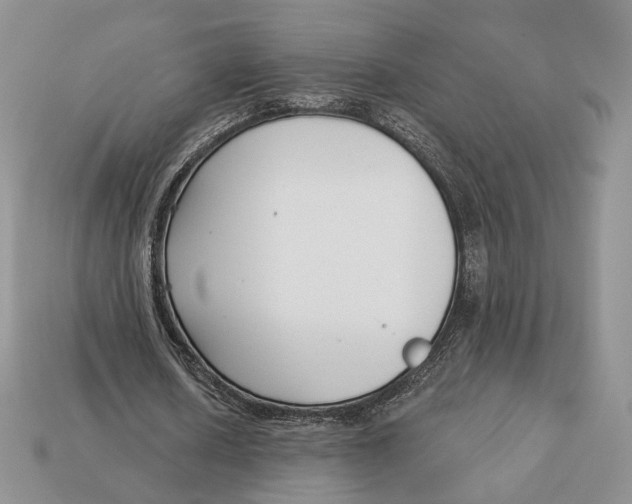 X0000112940626200909211134