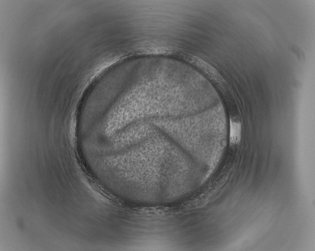 X0000112940627200909211134