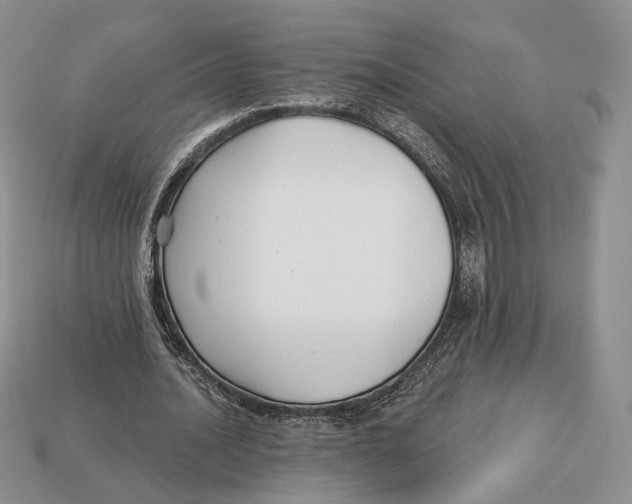 X0000112940628200909211134