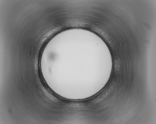 X0000112940629200909211134