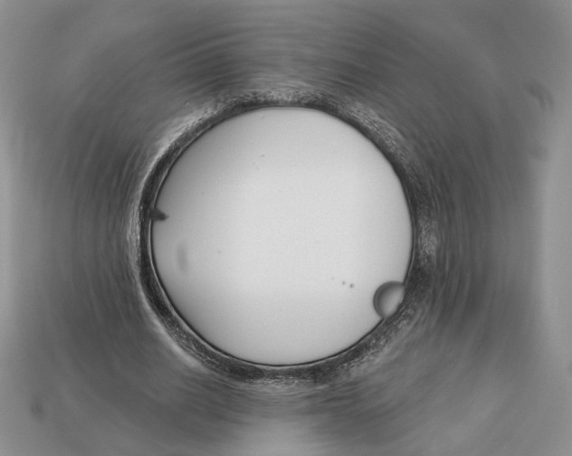 X0000112940630200909211134