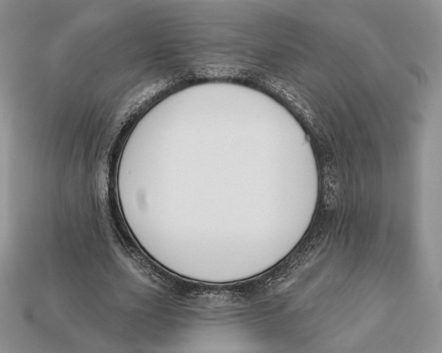 X0000112940631200909211134