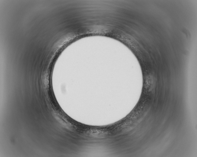 X0000112940632200909211134