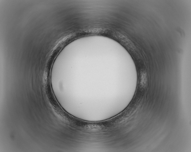 X0000112940636200909211134