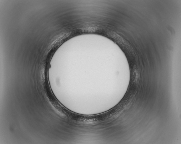 X0000112940638200909211134