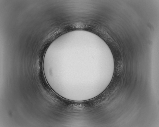 X0000112940639200909211134