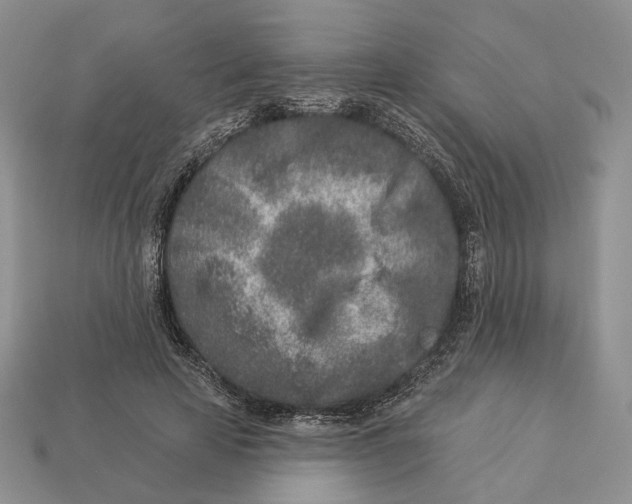 X0000112940641200909211134