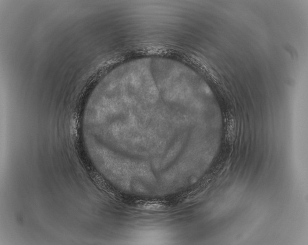 X0000112940643200909211134
