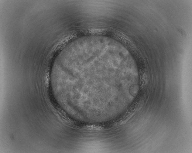 X0000112940644200909211135