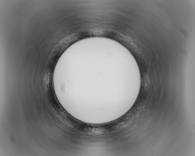 X0000112940645200909211135