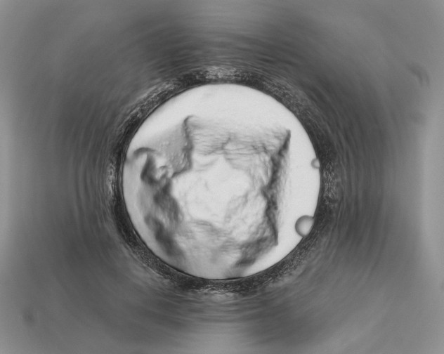 X0000112940648200909211135