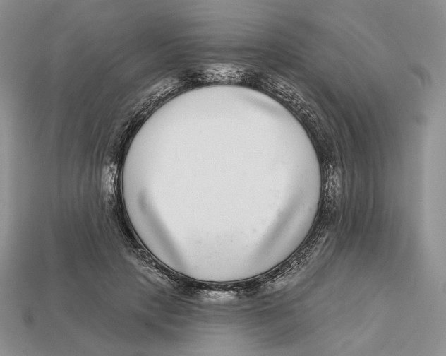 X0000112940649200909211135