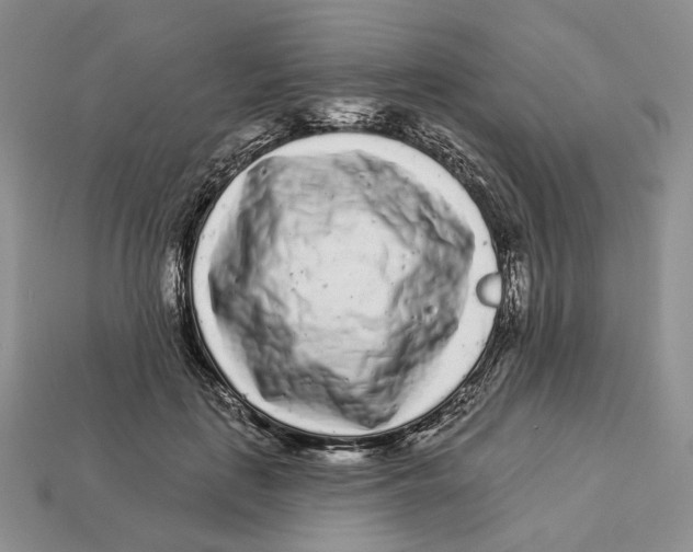 X0000112940651200909211135