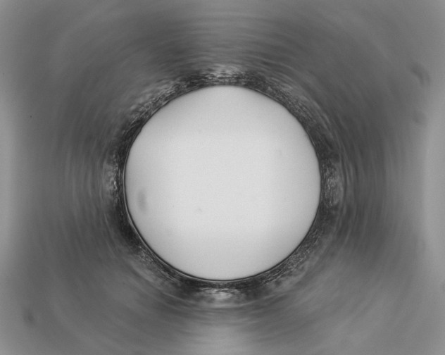 X0000112940654200909211135