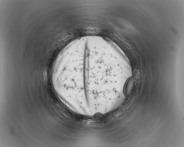 X0000112940655200909211135