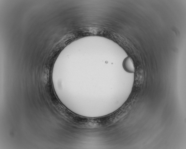 X0000112940656200909211135