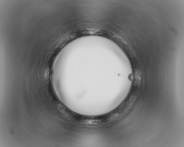 X0000112940657200909211135