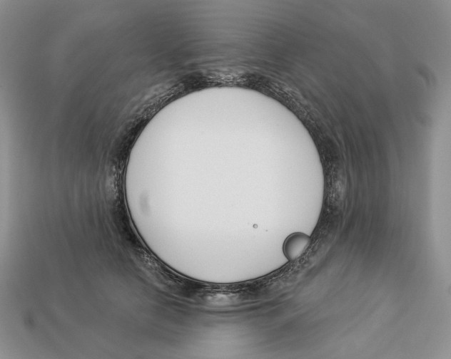 X0000112940658200909211135