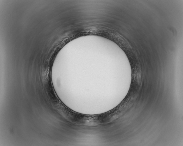 X0000112940660200909211135