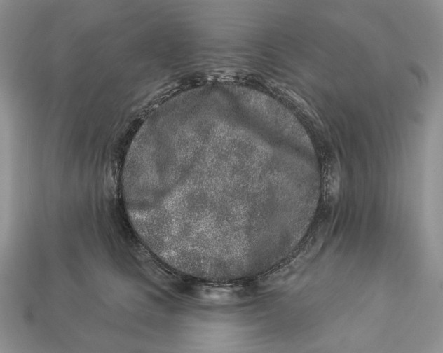 X0000112940661200909211135