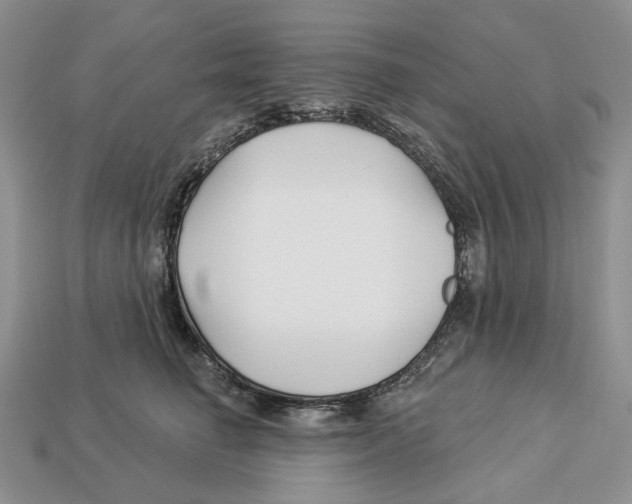 X0000112940662200909211135