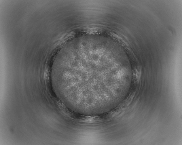 X0000112940663200909211135