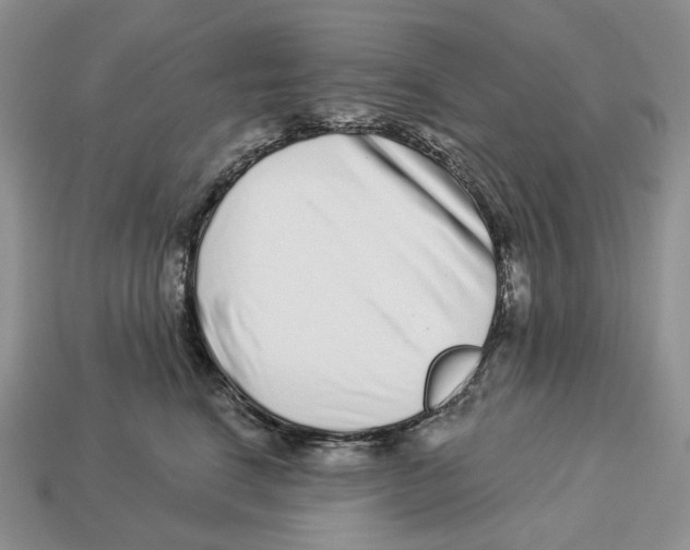 X0000112940664200909211135