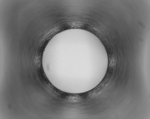X0000112940666200909211135