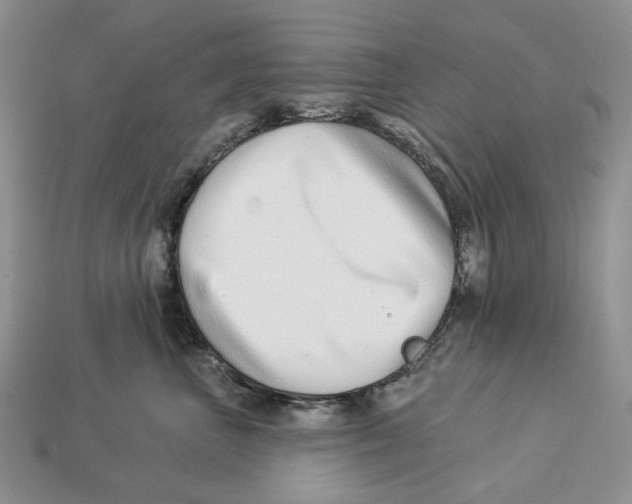 X0000112940667200909211135